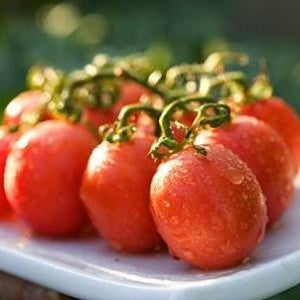 German Lunchbox Heirloom Grape Tomato Plant | Little Miami Farms